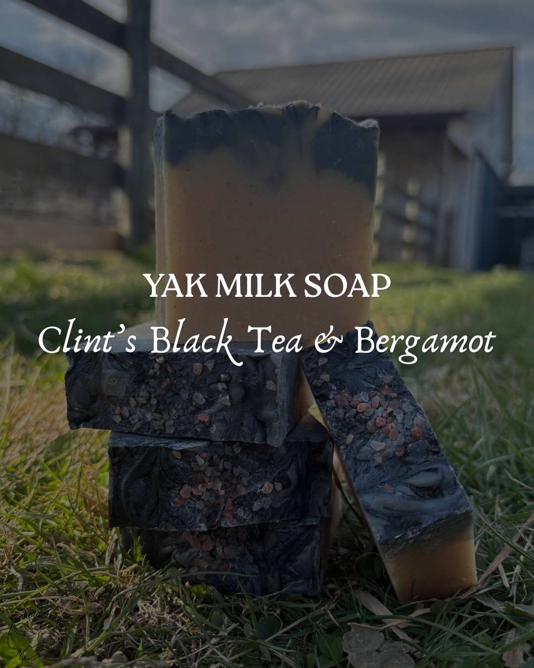 Clint's Black Tea & Bergamot